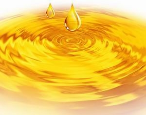 　飼料中油和脂肪：珍貴但忽視？