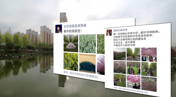 西北農林校園_副本.jpg