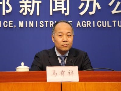 農業部：后備母豬存欄增長34.1%，仔豬均價超25元/斤，豬價風險明顯加大！