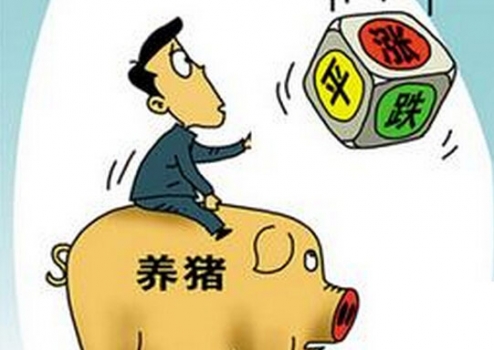 央視：6月了，豬價還能繼續(xù)漲嗎？