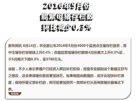 能繁母豬存欄數未升反降至3760萬頭，高豬價或能維持更久