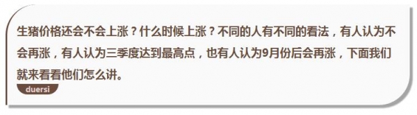 豬價最高點還沒到？第三季度或9月后出現？