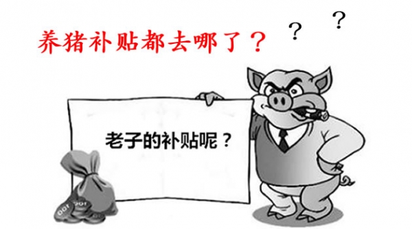 養豬補貼被誰領了？