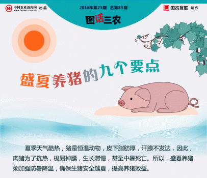一張圖告訴你盛夏養豬的九個要點