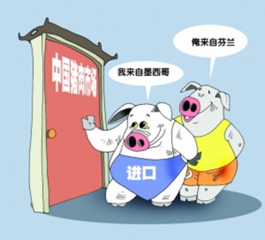 進口量再創新高 后市豬價走勢堪憂
