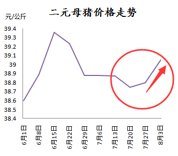 二元母豬仍在漲，這是后期仍要看好的節奏？