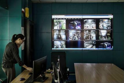 美媒：中國新型養豬場不用抗生素，豬肉價格貴兩倍