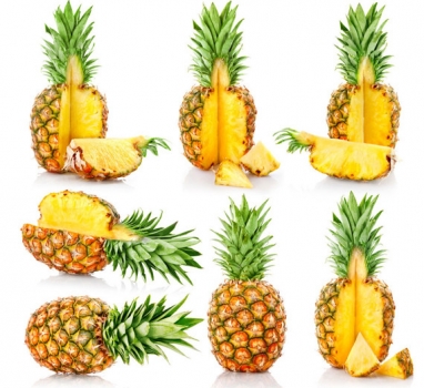 畜禽生產的5大非常規原料（原創）