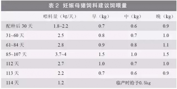 提升母豬年生產力的6大關鍵措施，想多生就得這么干