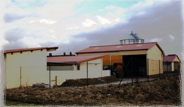 規(guī)避風險：一個德國豬農是如何應對豬價波動的（原創(chuàng)）