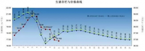 豬4.jpg