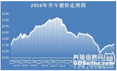 12月第一天豬價(jià)突破8.5！