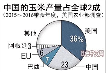 中國或時隔10年恢復玉米出口