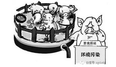 2017年禁養(yǎng)政策將更瘋狂，養(yǎng)殖朋友們你準備好了嗎?