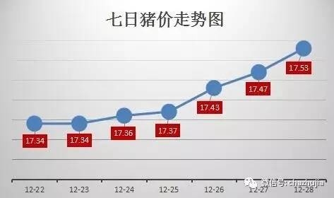 東北反彈 豬價(jià)持續(xù)上漲 金豬年即將畫(huà)上圓滿(mǎn)句號(hào)