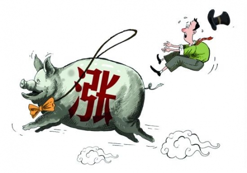 年前豬價何去何從？利空和利好因素將會有哪些變化？