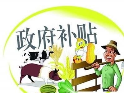 2017-2020年，國(guó)家扶持養(yǎng)豬政策將重點(diǎn)補(bǔ)貼這幾個(gè)方面