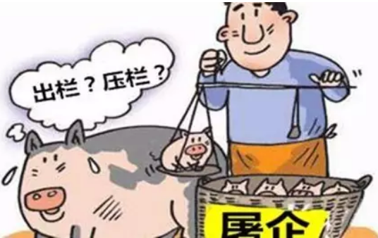 豬價(jià)暴漲暴跌，環(huán)保風(fēng)暴侵襲，如何養(yǎng)豬才能賺大錢？