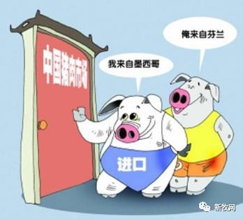 2016年進口豬肉數量同比增長108.4%！！進口豬肉均價6.5元/斤低于國內生豬價
