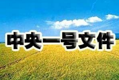 “一號文件”解讀，這6個和養豬人息息相關的點一定要知道