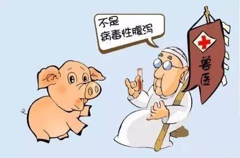 養豬對癥治療與對因治療有哪些不同？？？