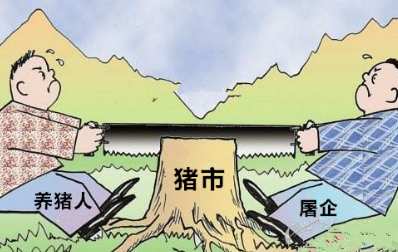 養殖戶挺價意愿減弱，屠企占得上風，豬價再次緩慢下行