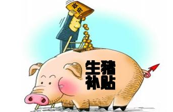 2017養(yǎng)豬新優(yōu)惠政策：最高補(bǔ)貼80萬(wàn)