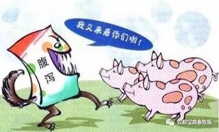 今年腹瀉依然席卷全國？這些豬場告訴你如何做到防患于未然！