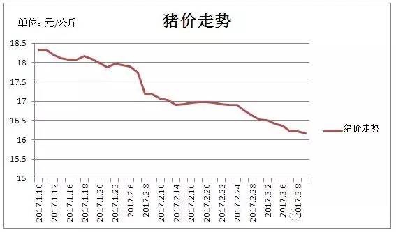 仔豬生豬價格差價大，你還敢養豬嗎?