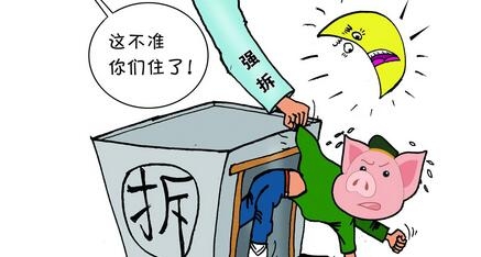 農業部：未來4年，這10個區域的養豬業要重點治理