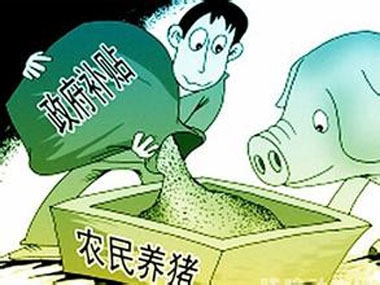 農村曉得養豬補貼的少就算了，中小養殖戶還沾不上邊？！