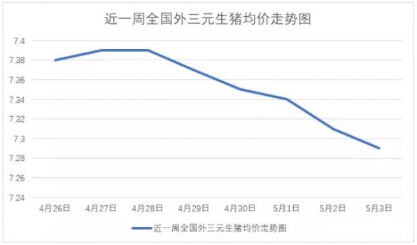 豬價又跌，大有“破7”之勢，究竟是什么在作怪？