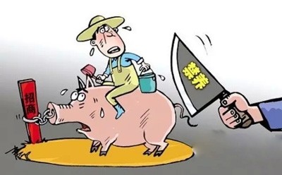 農業部司長：下一步重資打造東北地區
