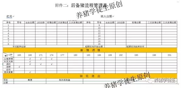 后備豬發情管理及記錄