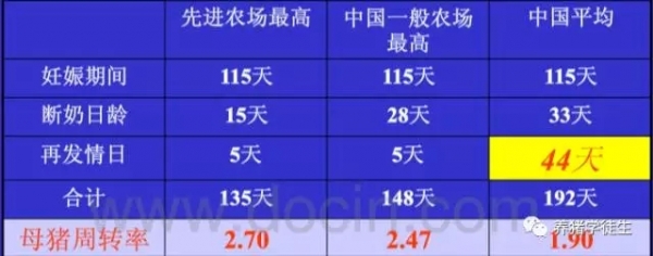 提高母豬斷奶后發情比例