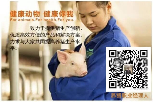 經理人.jpg