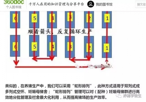 養豬技術吧：妊娠蛇形（1）