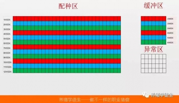1.webp.jpg