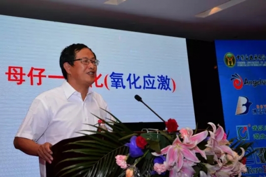 印遇龍院士：母仔豬一體化的系統研究（氧化應激）