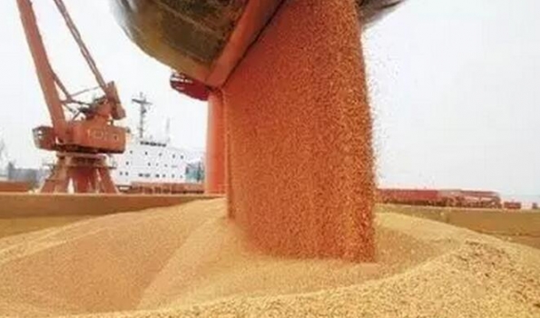 如何把控飼料質量系統