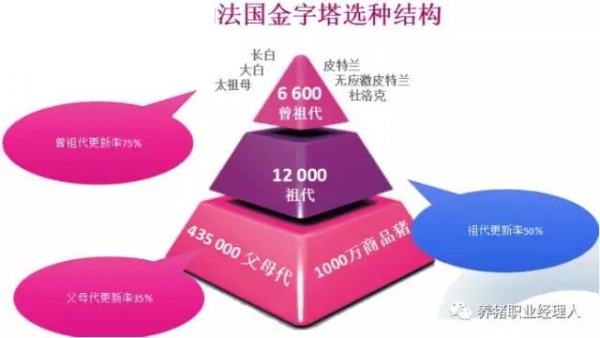 他山之石 | 從一張生產性能對比表看我們未來的養豬之路