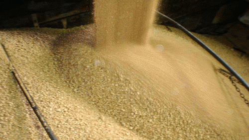 實驗室一般質量控制方式有哪些？質量控制的實施程序及有效性評審！