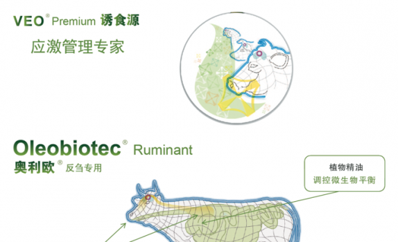 法國馥蒂微信文章_07.png