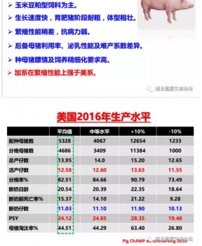 丹系VS美系母豬營養及飼喂差異_03.png