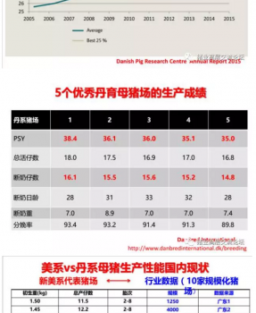 丹系VS美系母豬營養及飼喂差異_05.png