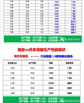 丹系VS美系母豬營養及飼喂差異_06.png