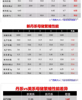 丹系VS美系母豬營養及飼喂差異_08.png