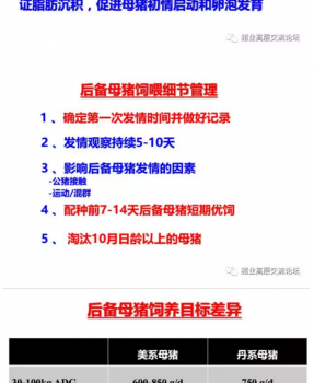 丹系VS美系母豬營養及飼喂差異_16.png
