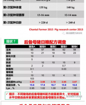 丹系VS美系母豬營養及飼喂差異_17.png