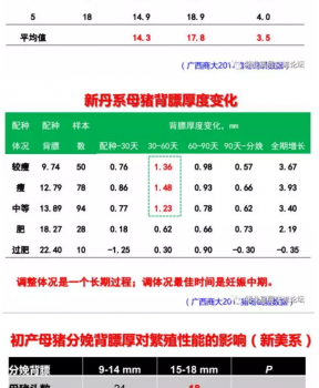 丹系VS美系母豬營養及飼喂差異_02.png